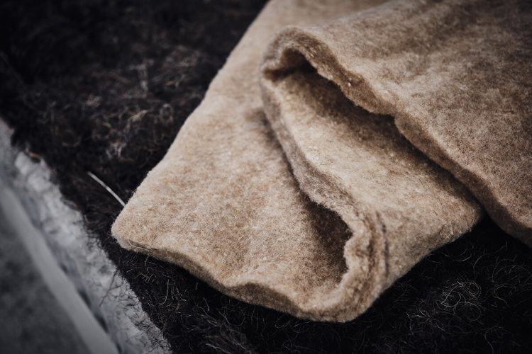 Dorsen_velbloudi_vlna_2